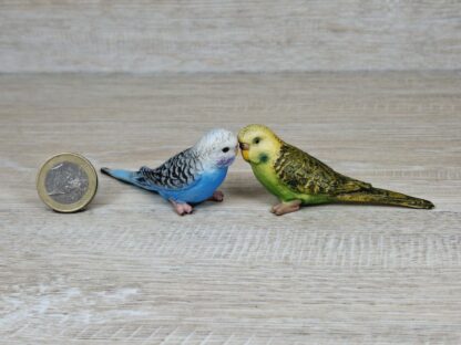Wellensittich Familie