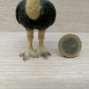 Schleich - 14091 Strauß [mit 3 Zehen] (RAR) – Bild 3