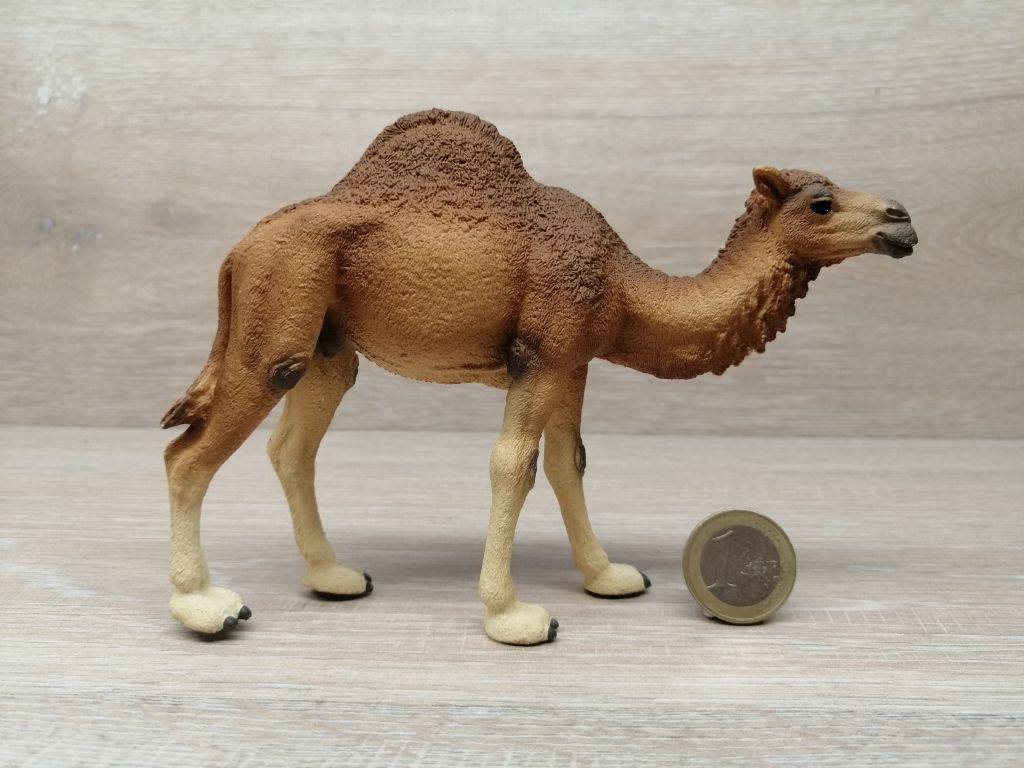 Schleich Correccion de Marca 14756 in Multicolored color Schleich Correccion de Marca 14756 in Multicolored color