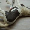Schleich – 13830 Pinto Stute (Fähnchen)´ – Bild 3