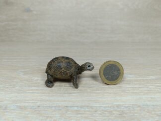 Schleich – 14643 Riesenschildkrötenjunges
