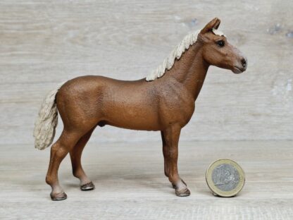 Schleich – 13869 Morgan Horse Hengst