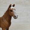 Schleich – 13869 Morgan Horse Hengst – Bild 3