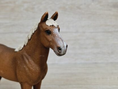 Schleich – 13869 Morgan Horse Hengst – Bild 3