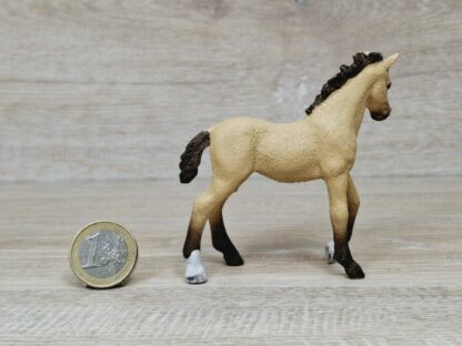 Schleich – 83035 Sunset als Fohlen [Lusitano] – Bild 3