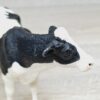 Schleich - 41424 Meine ersten Bauernhoftiere – Bild 8