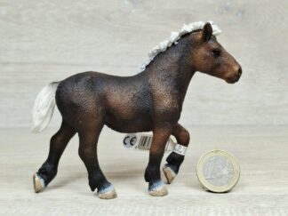 Schleich - 13665 Schwarzwälder Jährling (RAR) (Fähnchen - Sammler)´