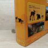 Schleich – 41457 Waldtierbabys (RAR) [Elchkalb, Frischling, Schwarzbärbaby] (OVP) – Bild 6