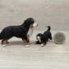 Schleich - Berner Sennen Familie #1