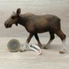 Schleich – 14620 Elch Kuh (RAR) (Fähnchen-Sammler)