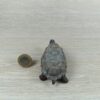 Schleich - 14824 Riesenschildkröte – Bild 2