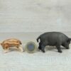 Schleich - Wildschwein Familie komplett #1 – Bild 5