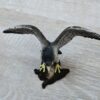 Schleich - 14633 Wanderfalke – Bild 4
