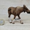 Schleich – 14620 Elch Kuh (RAR) (Fähnchen-Sammler)´ – Bild 2