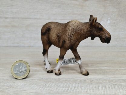 Schleich – 14620 Elch Kuh (RAR) (Fähnchen-Sammler)´ – Bild 2