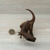 Schleich – 41465 Tyrannosaurus Rex Angriff [+] – Bild 6