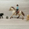 Schleich – 42419 Westernreiterin (Cowgirl)