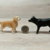 Schleich – 42419 Westernreiterin (Cowgirl mit Pferd) – Bild 8