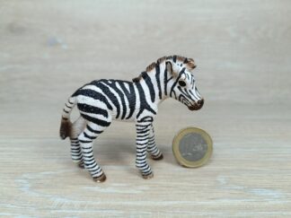 Schleich - 14393 Zebra Fohlen