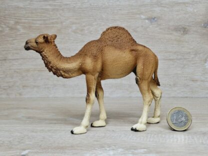 Schleich - 14832 Dromedar – Bild 2