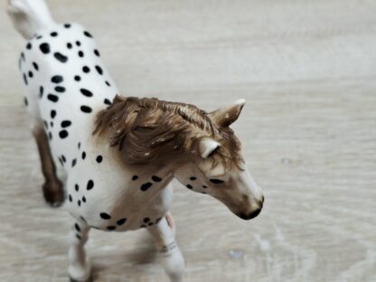 Schleich – 13889 Knabstrupper Hengst (Fähnchen) – Bild 4