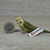 Schleich - 14408 Wellensittich (grün) [Die Haustiere – Nr. 8/16] (Fähnchen - Sammler)´