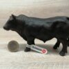 Schleich - 13766 Black Angus Bulle (RAR)(Fähnchen-Sammler)´