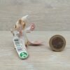Schleich - 70531 Iloris Schleierbärchen (RAR) (Fähnchen-Sammler)´ – Bild 2