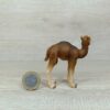 Schleich - 14356 Dromedar Fohlen – Bild 2