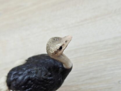 Schleich - 14325 Strauß (Fähnchen-Sammler)´ – Bild 3