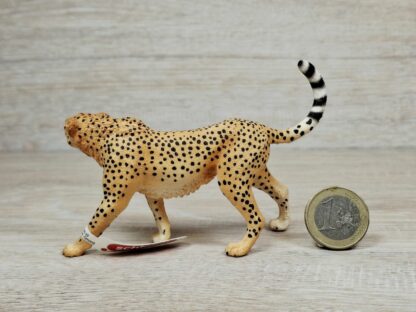 Schleich – 14746 bzw. [Treuefigur] 17056 Gepardin (Fähnchen) – Bild 2