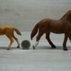 Schleich – 42458 Hannahs Gastpferde mit Hündin Ruby – Bild 8