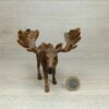Schleich - 14310 Elch Bulle – Bild 2