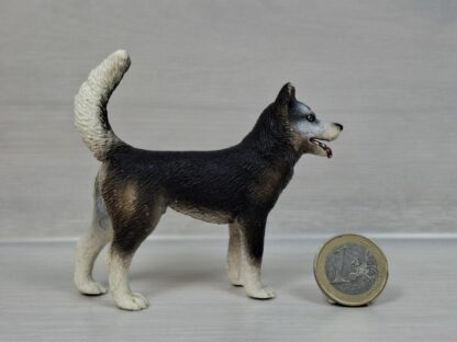 Schleich - 16371 Husky Rüde