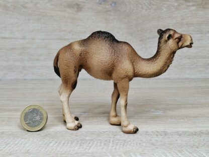 Schleich - 14355 Dromedar – Bild 2