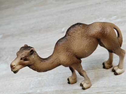 Schleich - 14355 Dromedar – Bild 3