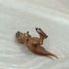 Schleich - 14532 Tyrannosaurus Rex, mini [braun/gelb] --- 2015 Nr 2/8 – Bild 3