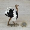 Schleich - Straußen Familie kompekt #1 (RAR) – Bild 4