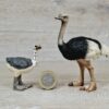 Schleich - Straußen Familie kompekt #1 (RAR) – Bild 2