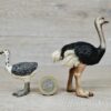 Schleich - Straußen Familie kompekt #1 (RAR) – Bild 3