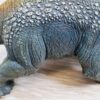 Schleich - 14526 Styracosaurus – Bild 5