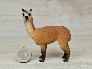 Schleich - 13703 Alpaka Hengst (RAR)