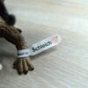 Schleich - 70511 Drache Rammbock (Sammler Fähnchen) – Bild 6