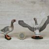 Schleich – Graugänse Paar (Familie) (RAR) – Bild 3