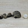 Schleich - Igel Familie – Bild 2
