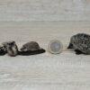 Schleich - Igel Familie – Bild 3