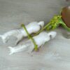 Schleich - 42060  Elfenkutsche (mit Pferden) – Bild 6