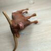 Schleich - 13866 Texas Longhorn Bulle – Bild 4