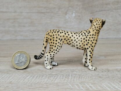 Schleich – 14614 Gepardin – Bild 2