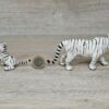 Schleich – Tiger weiß Familie komlett #1 – Bild 3